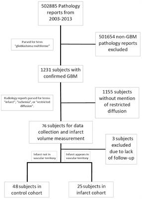 The Impact of Perioperative Arterial Infarct on Recurrence, Functional Outcomes, and Survival in Glioblastoma Patients